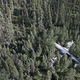 Illustration for article titled Stunning photos of plane crashes where everyone aboard survived